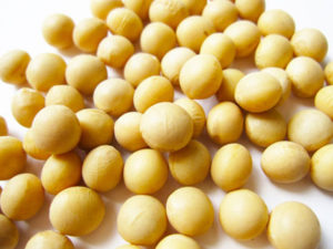 豆類は不溶性食物繊維を多く含む食品です