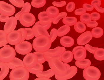 貧血とは血液中の赤血球の減少や赤血球中のヘモグロビンの量が少なくなり、体内に酸素を十分に供給できなくなった状態