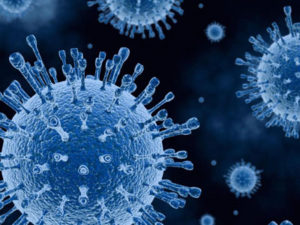 細菌やウイルスなどの有害物質が体内に侵入すると免疫機能の防衛反応により異物を排除します