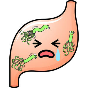 ピロリ菌から胃を守ろうと生体防御反応である免疫反応により胃の粘膜に炎症が起こる